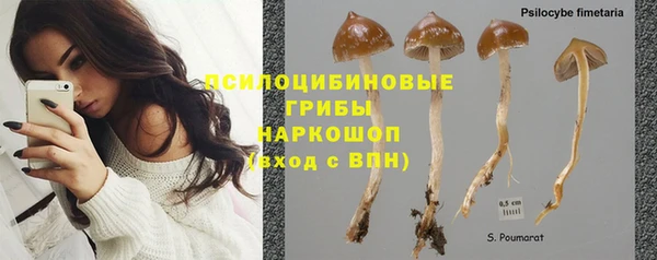 а пвп мука Пересвет