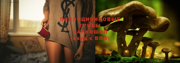 а пвп мука Покачи