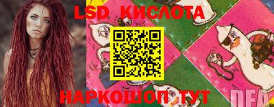 амф Кимры