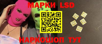 мет Кингисепп