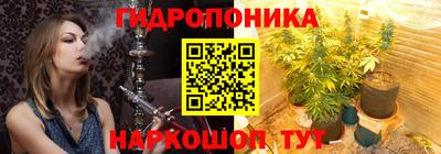 амф Кимры
