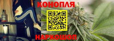 мет Кингисепп