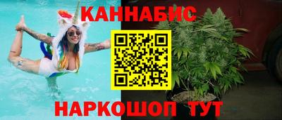 мет Кингисепп