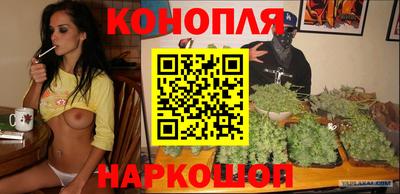 мет Кингисепп