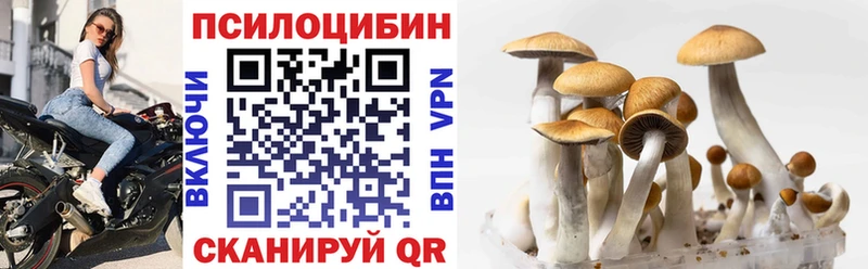 Псилоцибиновые грибы GOLDEN TEACHER  Кореновск 