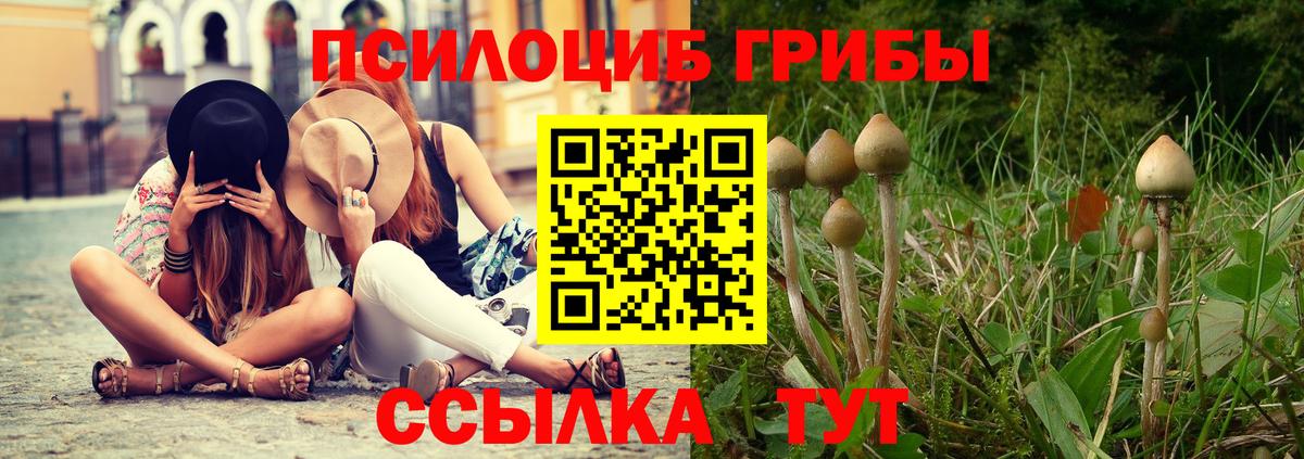 Псилоцибиновые грибы MAGIC MUSHROOMS Кореновск