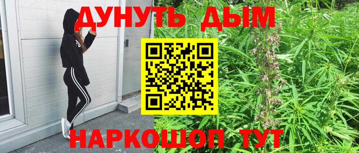 Бошки Шишки марихуана Кореновск